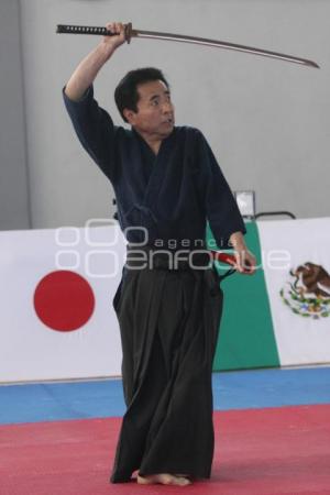 FESTIVAL PRIMAVERA ARTES MARCIALES JAPÓN-MÉXICO