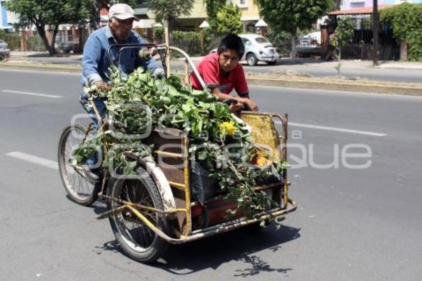 VIDA COTIDIANA. BICICLETA