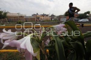 INAUGURAN GIMNASIO AL AIRE LIBRE