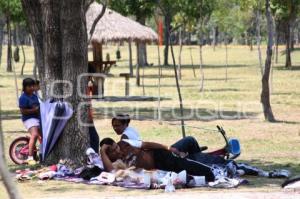 VIDA COTIDIANA. PARQUE ECOLÓGICO