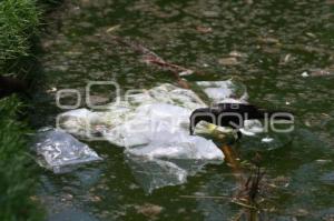 SUCIEDAD EN LAGUNA DEL PARQUE ECOLÓGICO