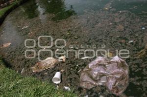 SUCIEDAD EN LAGUNA DEL PARQUE ECOLÓGICO