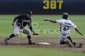 PERICOS VS SULTANES . BEISBOL