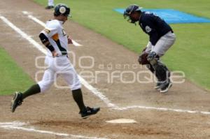 PERICOS CONTRA EL CARMEN LMB