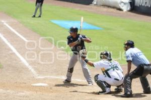 PERICOS CONTRA EL CARMEN LMB