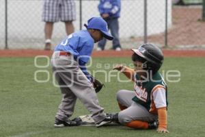 PUEBLA VS LINDAVISTA . BEISBOL