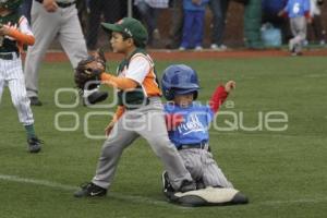 PUEBLA VS LINDAVISTA . BEISBOL