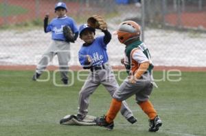 PUEBLA VS LINDAVISTA . BEISBOL