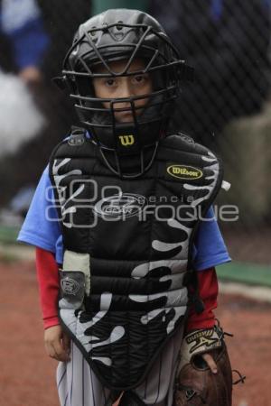 PUEBLA VS LINDAVISTA . BEISBOL