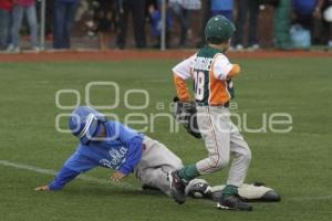 PUEBLA VS LINDAVISTA . BEISBOL