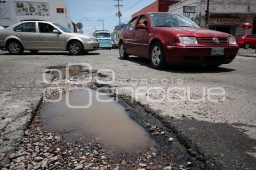 BACHES