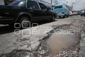 BACHES