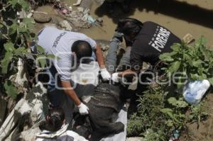 CAE EN BARRANCA Y MUERE