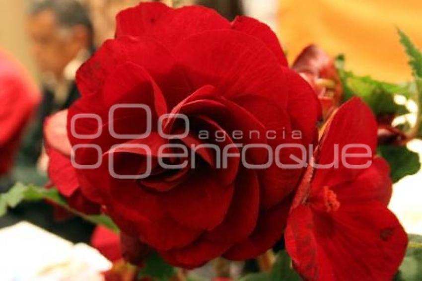 FERIA DE TLATLAUQUITEPEC