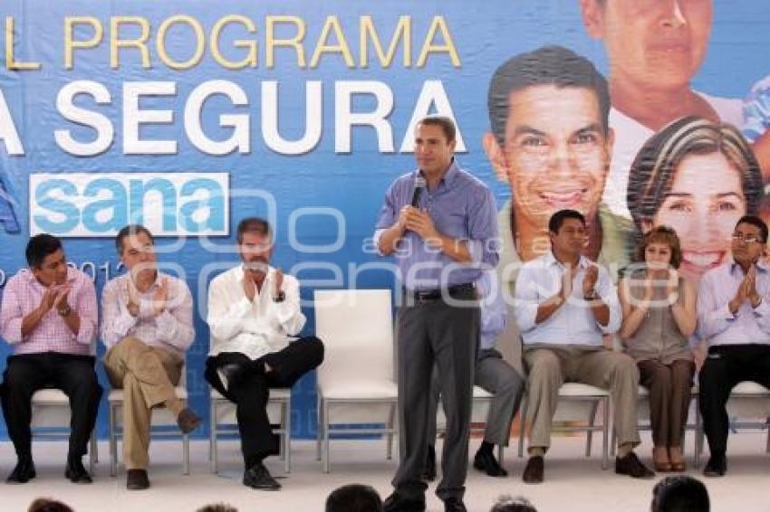 PROGRAMA CONSULTA SEGURA