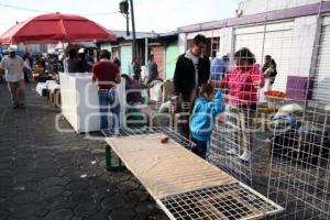 MERCADO 5 DE MAYO