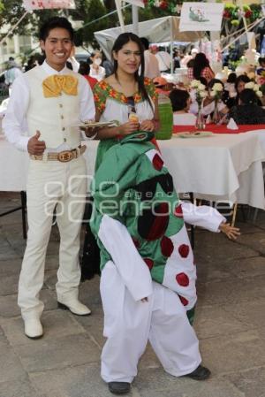 FERIA DEL CHILE EN NOGADA