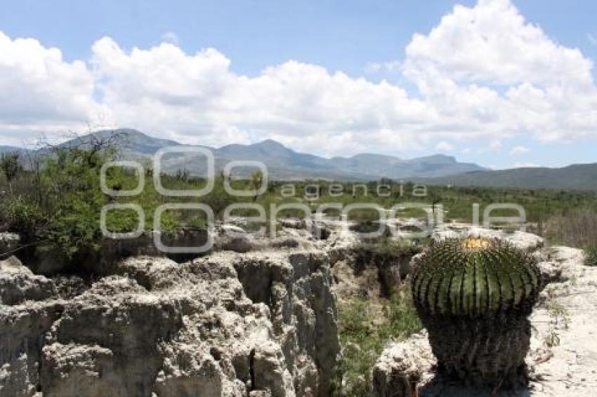 RESERVA BIOSFERA TEHUACÁN - CUICATLÁN