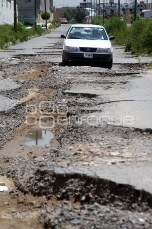 BACHES