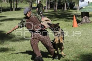 DEMOSTRACIÓN ADIESTRAMIENTO CANINO . EJÉRCITO