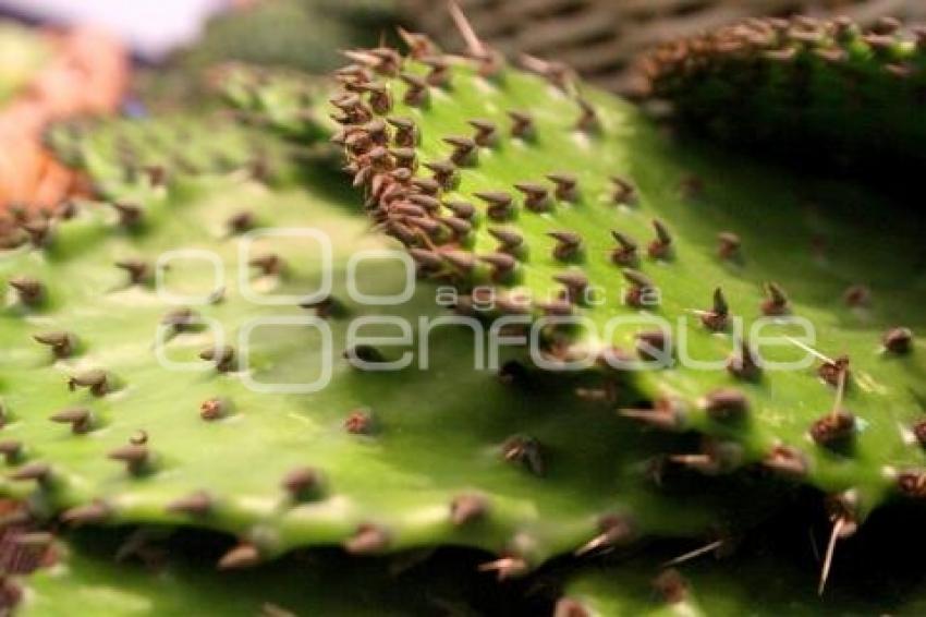 FIRMA DE CONVENIO LFV Y PRODUCTORES DE NOPAL - TUNA