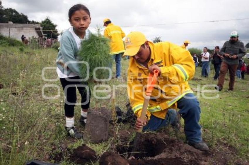 JORNADA ESTATAL DE REFORESTACIÓN