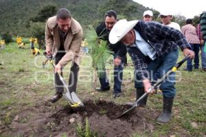 JORNADA ESTATAL DE REFORESTACIÓN