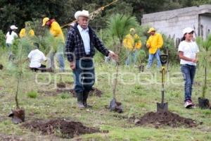 JORNADA ESTATAL DE REFORESTACIÓN