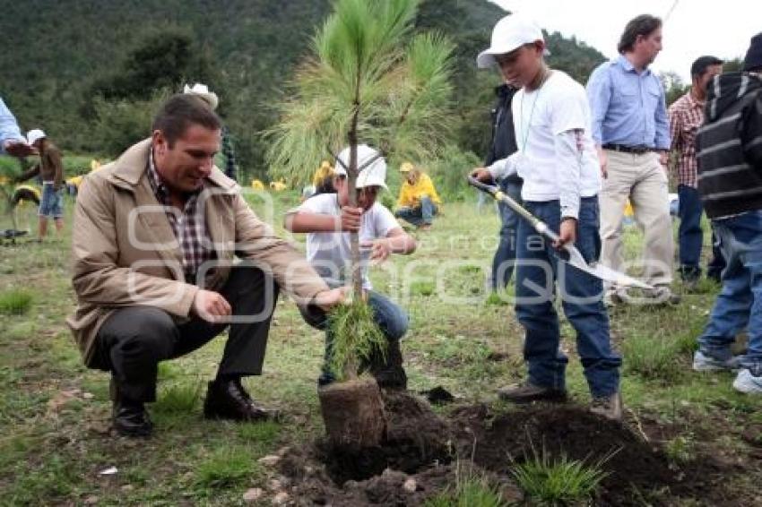 JORNADA ESTATAL DE REFORESTACIÓN