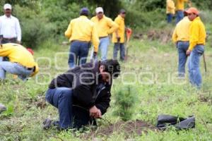 JORNADA ESTATAL DE REFORESTACIÓN