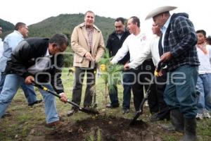 JORNADA ESTATAL DE REFORESTACIÓN