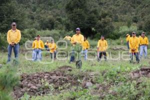 JORNADA ESTATAL DE REFORESTACIÓN