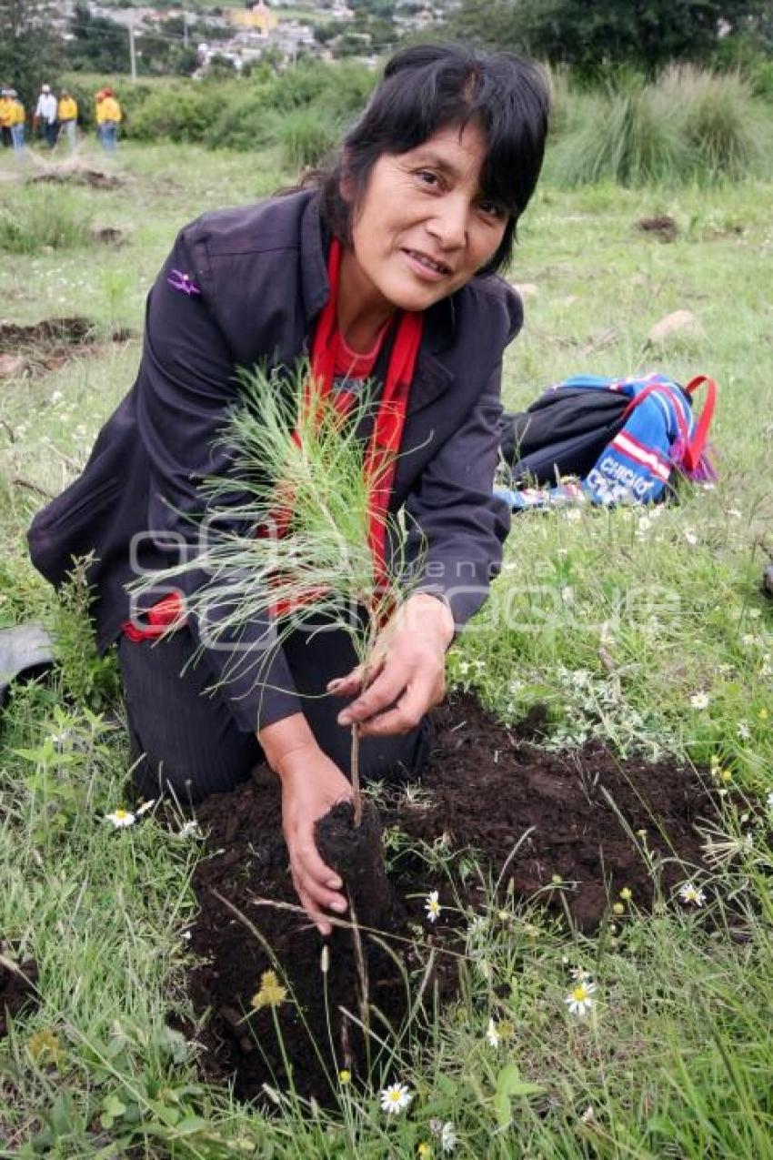JORNADA ESTATAL DE REFORESTACIÓN