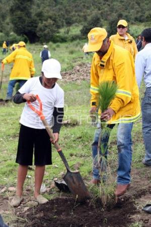 JORNADA ESTATAL DE REFORESTACIÓN