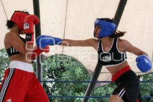 TORNEO DE BOX DE BARRIOS