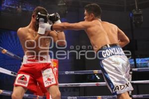 FUNCIÓN DE BOX SÁBADO DE CORONA