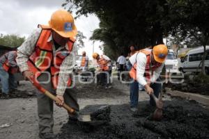 PROGRAMA DE BACHEO. TONY GALI