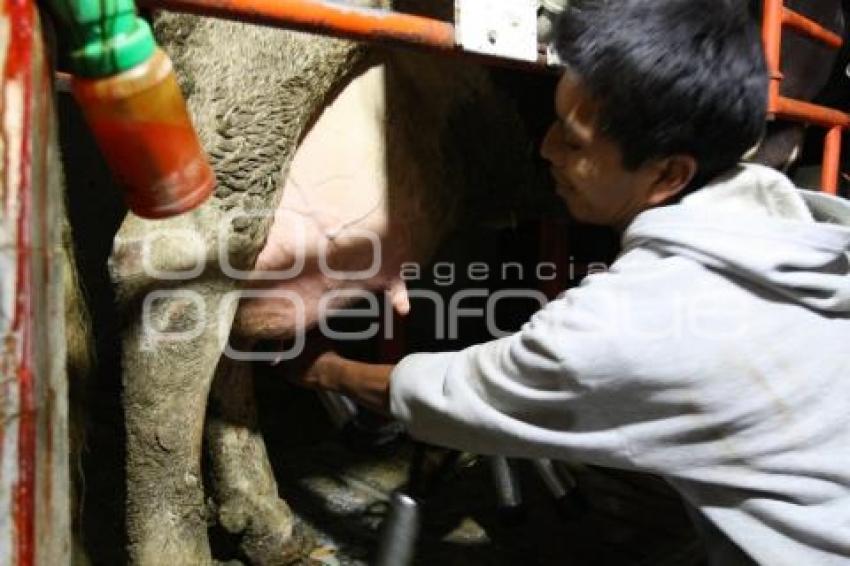 AUMENTO PRECIO DE LECHE