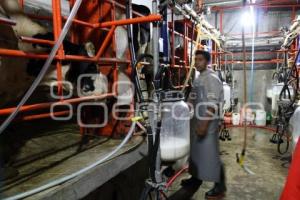 AUMENTO PRECIO DE LECHE