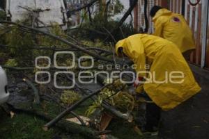 CAIDA DE ARBOLES E INUNDACIONES