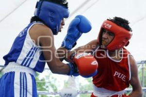 TORNEO DE BOX DE BARRIOS