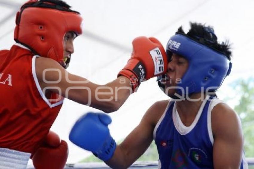 TORNEO DE BOX DE BARRIOS