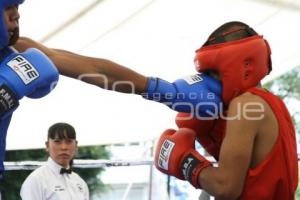 TORNEO DE BOX DE BARRIOS