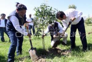 REFORESTACIÓN PARQUE BICENTENARIO 18 DE NOVIEMBRE.VW