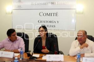 COMITÉ DE GESTORÍA Y QUEJAS. CONGRESO