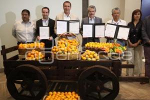 FIRMA CONVENIO KM CAPITAL CON PRODUCTORES DE MANDARINA