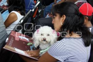 JORNADA DE LECTURA EN LA MARGARITA