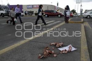 RESTOS EN LA VIALIDAD