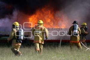 SIMULACRO INCENDIO. EMPRESA BASF