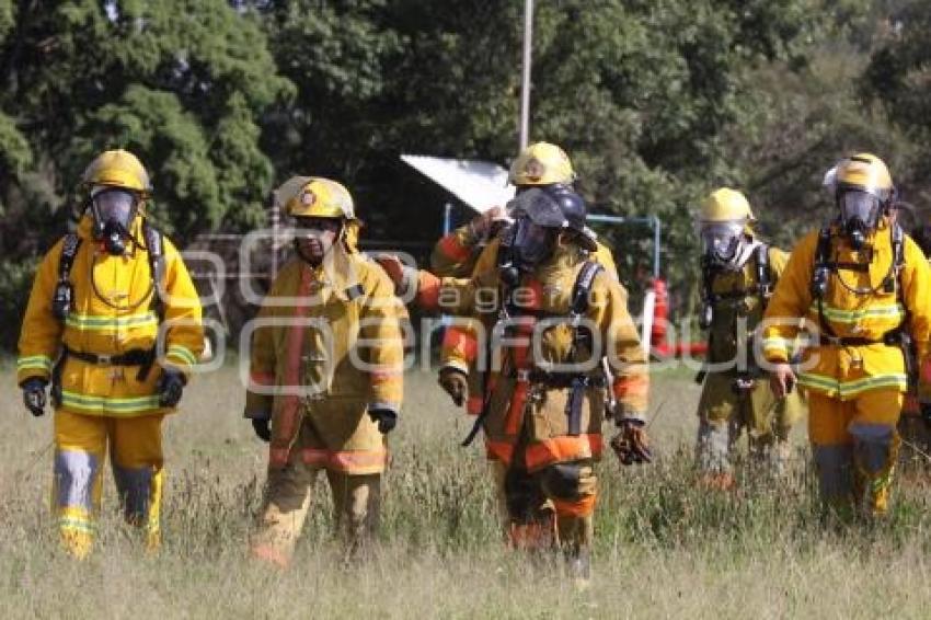 SIMULACRO INCENDIO. EMPRESA BASF